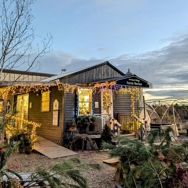 Orchard Ridge Farm