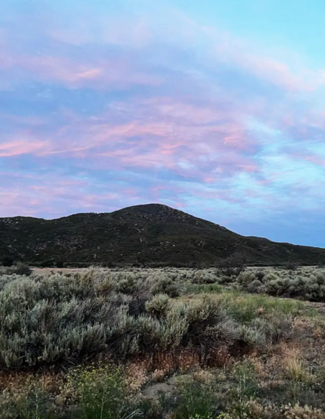 Bookshelf Winery and venue