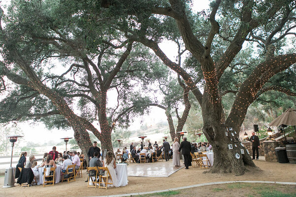 Giracci Vineyards and Farms