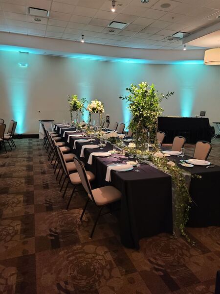 Hilton Garden Inn Cleveland East/Mayfield Village