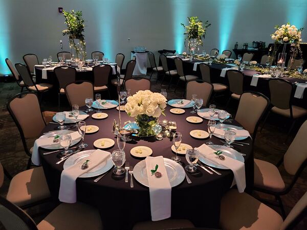 Hilton Garden Inn Cleveland East/Mayfield Village