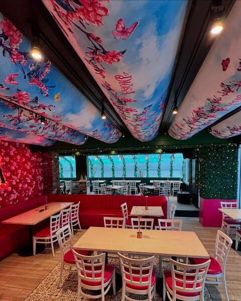 La Diosa Taqueria Miami Lakes