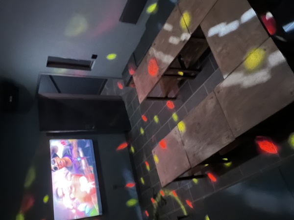 233 Starr Karaoke & Eats