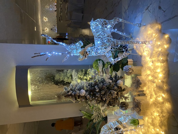 The Fruit Lady Venue