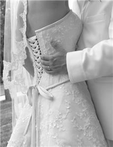 Paul Saunders Photography