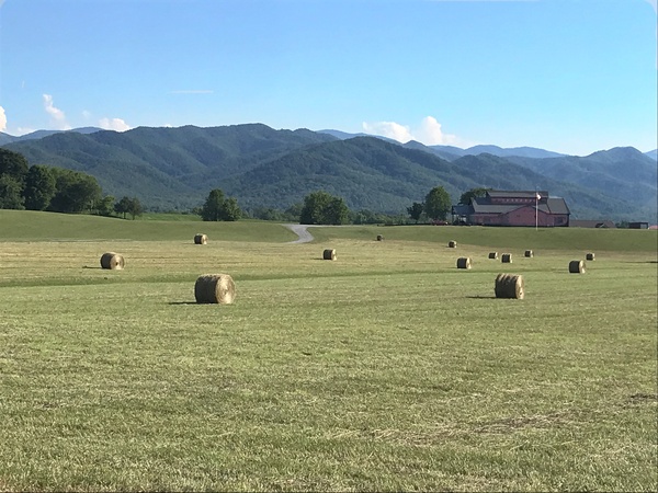 The Farm at Jackson Bridge