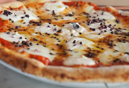 Parma Italian Roots Restaurant