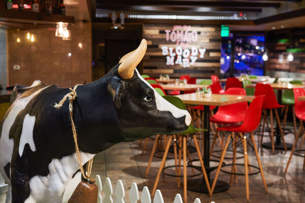 Toasted Gastrobrunch Flamingo