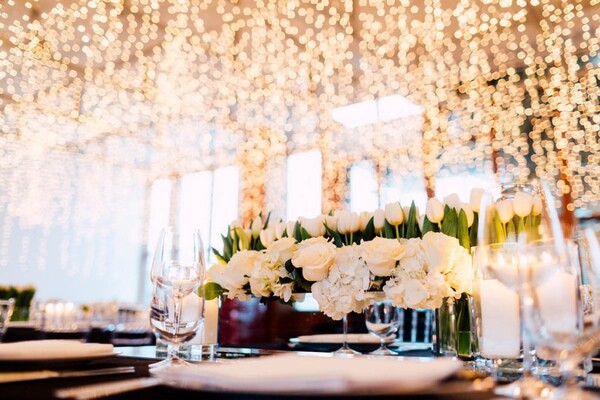 Art Gallery Of Ontario