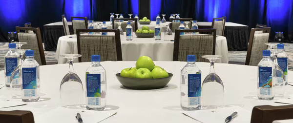 DoubleTree by Hilton Hotel Chicago - Magnificent Mile