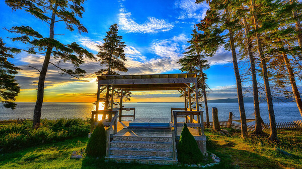 Sea Parrot Oceanview