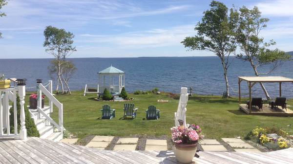 Sea Parrot Oceanview