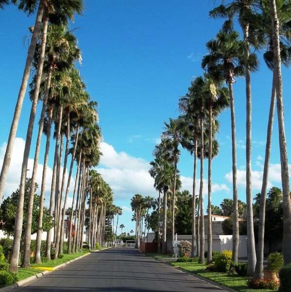 Victoria Palms Ballroom