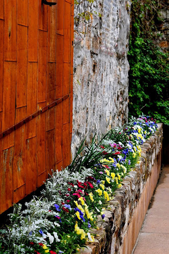 Hamp Williams Building