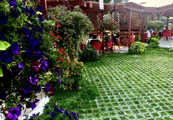 Patty's Mexican Kitchen & Catering