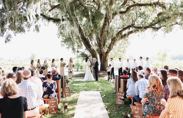 Indigo Harvest Events