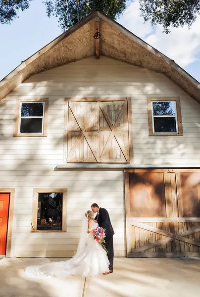 Indigo Harvest Events