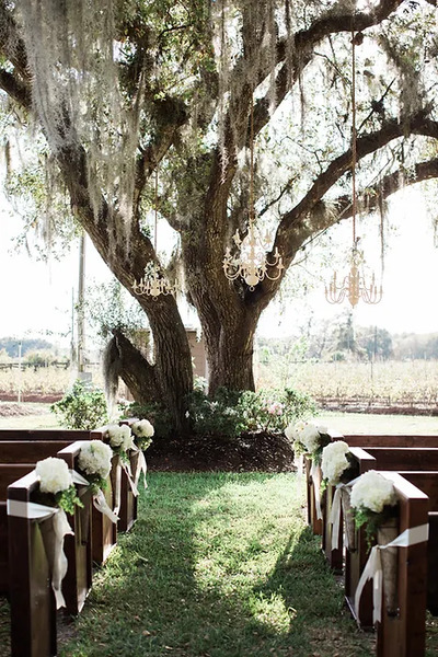 Indigo Harvest Events