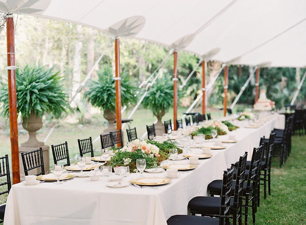 Indigo Harvest Events