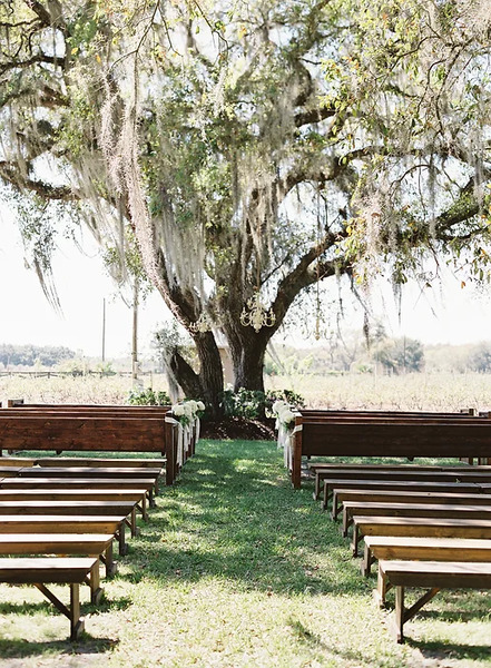 Indigo Harvest Events