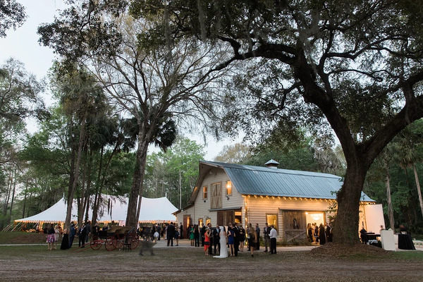 Indigo Harvest Events