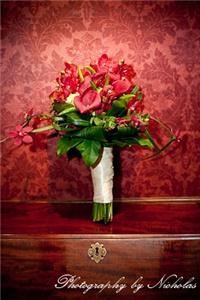 Photography by Nicholas