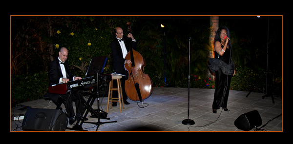 Teri Wilson Entertainment