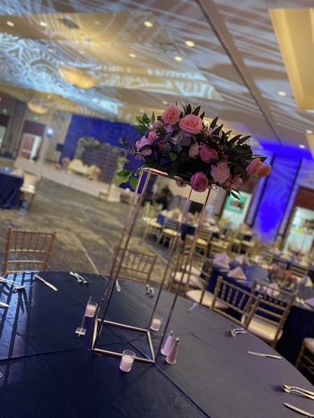 Embassy Suites Tampa - USF/Near Busch Gardens