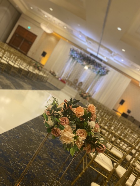 Embassy Suites Tampa - USF/Near Busch Gardens