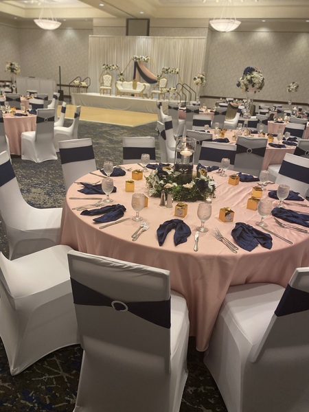 Embassy Suites Tampa - USF/Near Busch Gardens