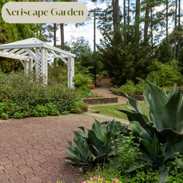 South Carolina Botanical Garden