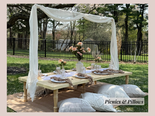 Picnics & Pillows