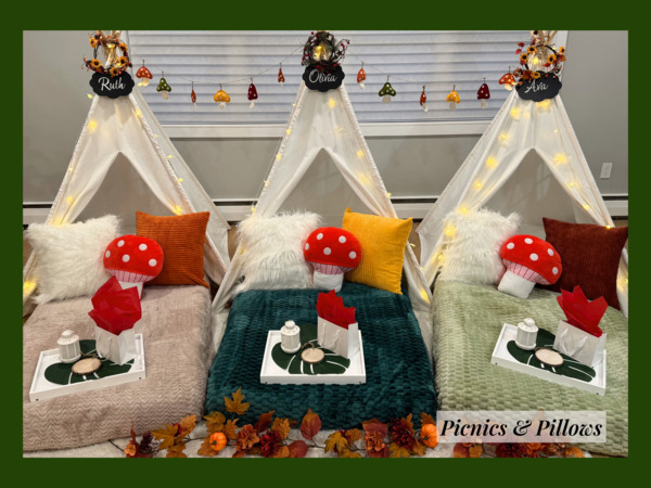 Picnics & Pillows