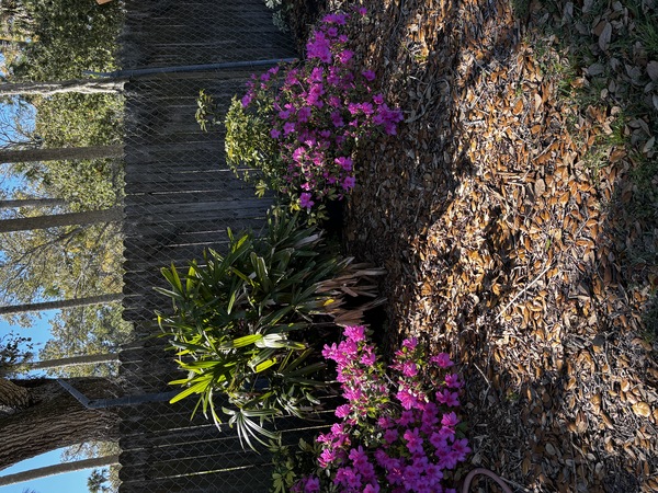 Ponte Vedra Croquet Club