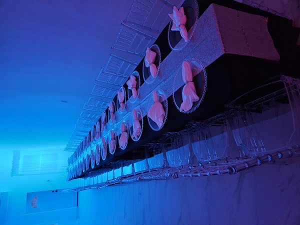 Euphoric Moments Events