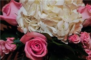 The Silk Veil Events by Ivy