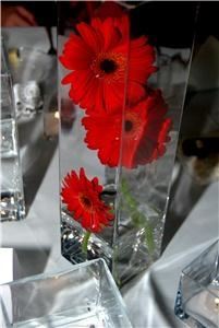 The Silk Veil Events by Ivy