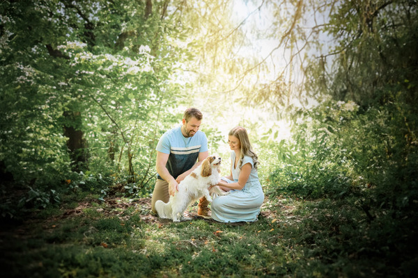 Pulse Productions Inc.