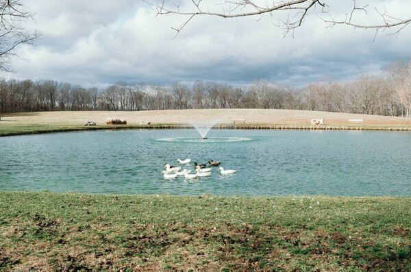 Bell Bottom Ranch & Venues
