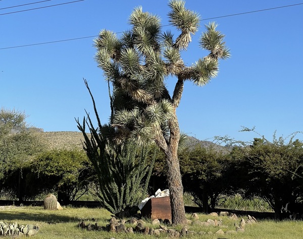 AZ Blue Ranch Retreat