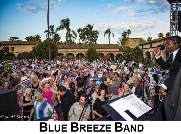 BLUE BREEZE BAND (Motown R&B Soul Contemporary Hits +Jazz Blues )