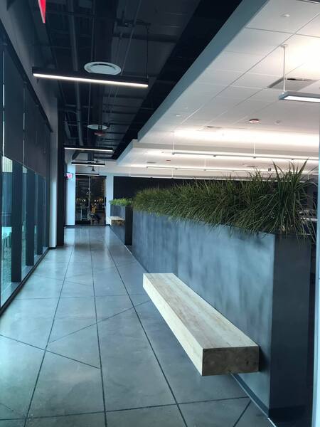 LaFleur Plants + Botanics