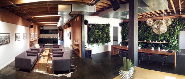 LaFleur Plants + Botanics