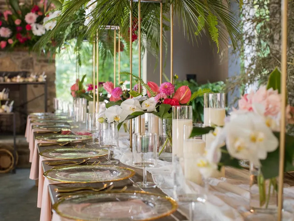 Running Cedar Springs