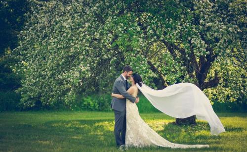 Imagery Photography - Dianna Hardy