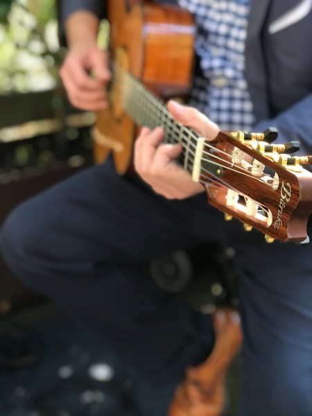 California Wedding Guitarist