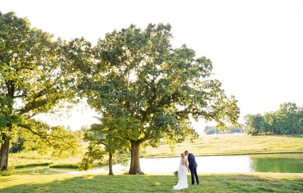 Hayfield at Murchison Farms