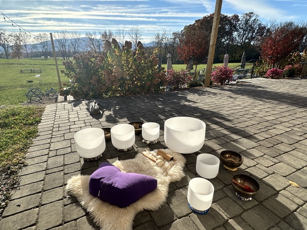 Divine Pine Healing Arts