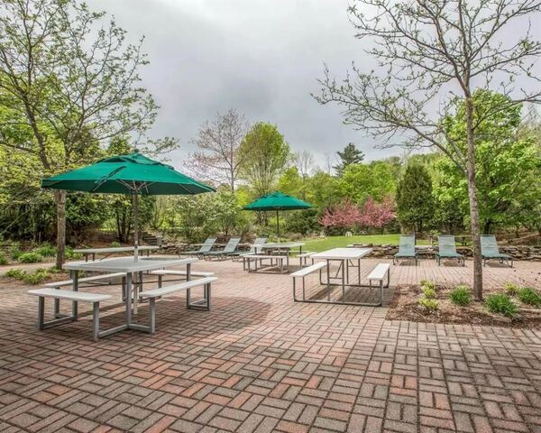 Comfort Inn & Suites Near Burke Mountain