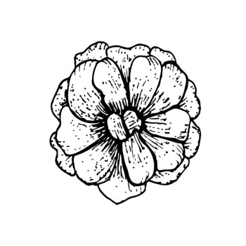 Art & Photography by Diana